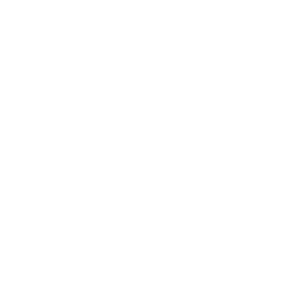 Aljuneidi dairies