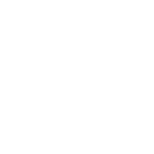 wpi